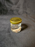 Pinky mice wet specimen in a small glass jar with a gold lid