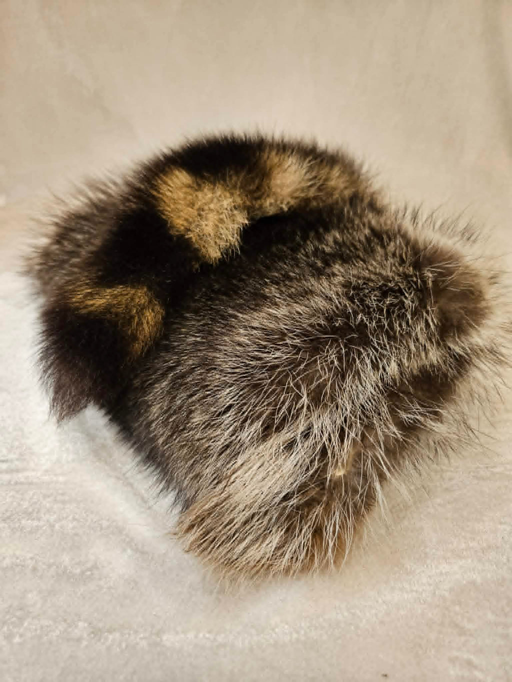 Raccoon Hide & Tail – Tanned