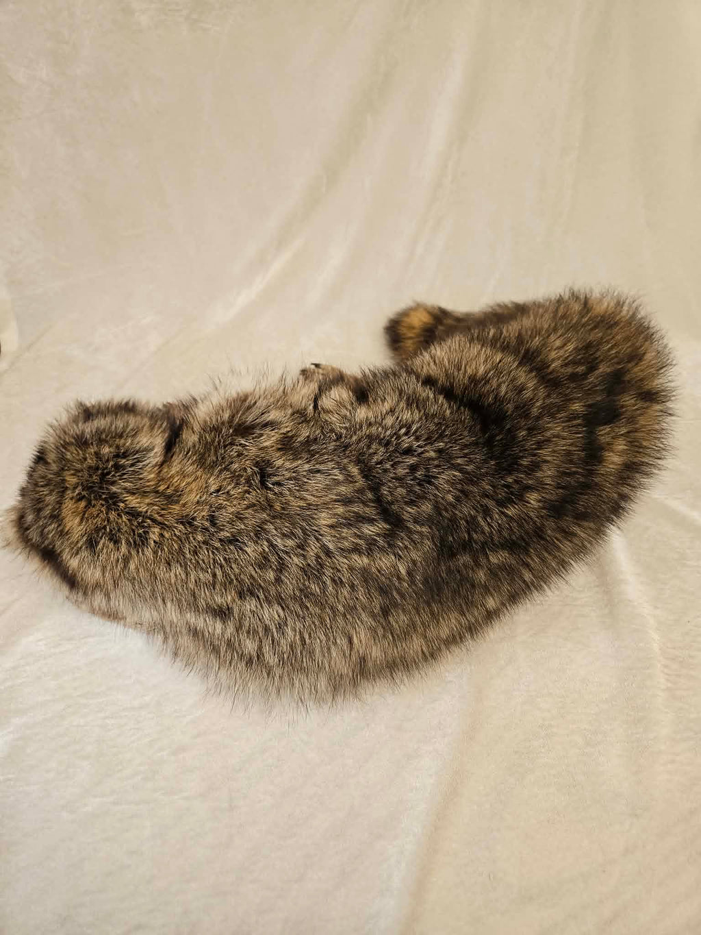 Winchester – Raccoon Soft Mount