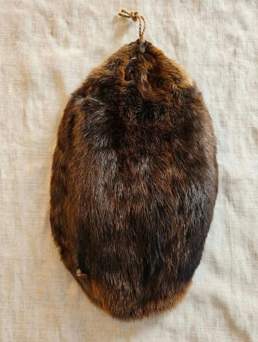 Halloween Spooktacular - Beaver Skinning