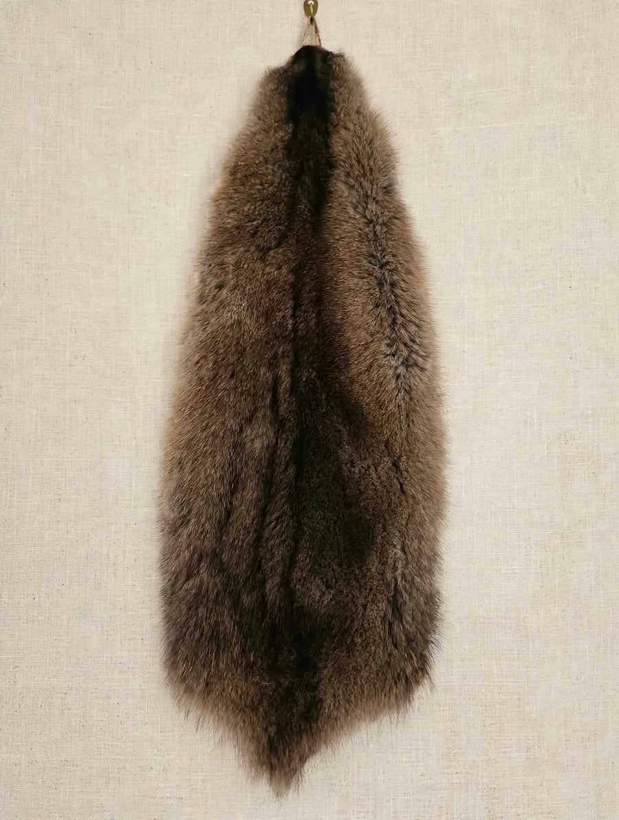 Muskrat Skinning Class